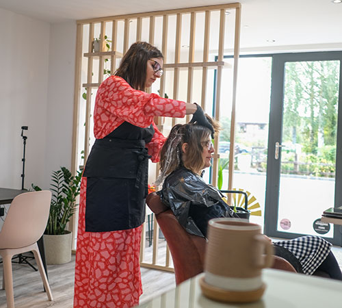 Nancy Stripe introduces a new clinet to grey blending and the future of hair colour for salons world wide. 